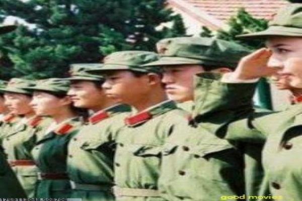 《华丽一族》豪门家族的权谋争斗,揭开财富