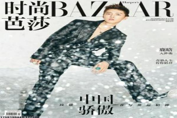 《枪火在线观看》枪火的黑帮博弈,深度解析