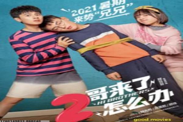 《东北往事之黑道风云》剧情讲解,黑道二十