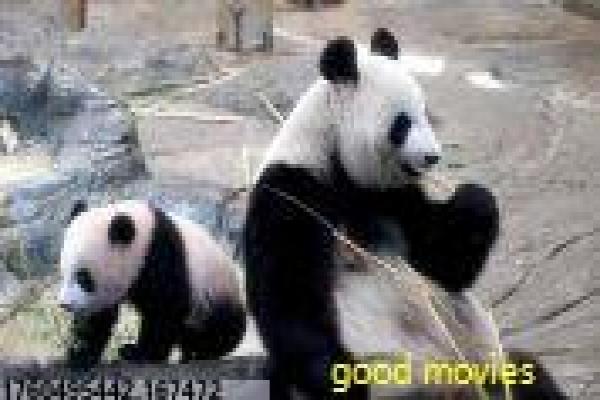 《尴尬时刻》尴尬时刻尴尬囧事时刻的搞笑故